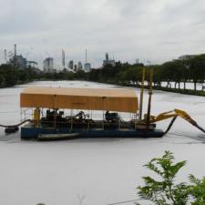 Dragagem Brasil - Papel e Celulose