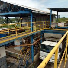 Dragagem Brasil - Papel e Celulose