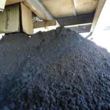 Dragagem Brasil - Papel e Celulose